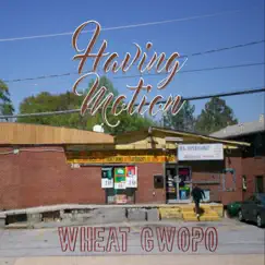 Having Motion - Single by Wheat Gwopo album reviews, ratings, credits