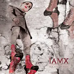 Volatile Times - EP by IAMX album reviews, ratings, credits