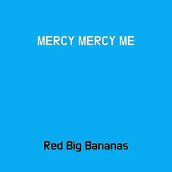 Mercy Mercy Me Song Lyrics