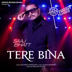 Tere Bina - Single by Saaj Bhatt album reviews, ratings, credits