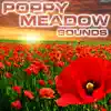 Poppy Meadow Sounds (feat. OurPlanet Soundscapes, Paramount Soundscapes, Paramount White Noise, Paramount White Noise Soundscapes, White Noise Plus & White Noise TM) album lyrics, reviews, download