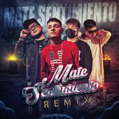 Mate Sentimiento (feat. Vichoking & Jhey H) [Remix] - Single by Clyde 47 & Braandonandress album reviews, ratings, credits