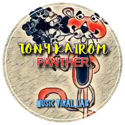 Panther - Single by Tony Kairom album reviews, ratings, credits