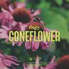 Coneflower - Single album lyrics, reviews, download