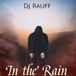 In the Rain - Single by Dj Rauff album reviews, ratings, credits