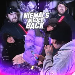 Niemals wieder back (feat. Sevi Rin) - Single by T-Low album reviews, ratings, credits