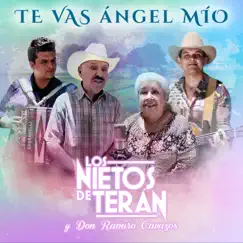 Te Vas Ángel Mío - Single by Los Nietos De Terán, La Abuela Irma Silva & Don Ramiro Cavazos album reviews, ratings, credits