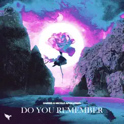 Do You Remember (feat. Aaron Shirk) [Aaron Shirk Remix] Song Lyrics