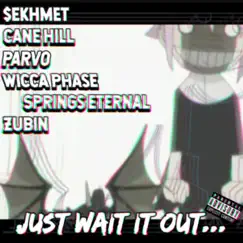 Just Wait It Out... (feat. Cane Hill, Parv0, Wicca Phase Springs Eternal & Zubin) Song Lyrics
