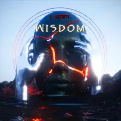 Wisdom - Single by J.Storm album reviews, ratings, credits