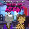 How You Like Meow? (Remix) - Single album lyrics, reviews, download