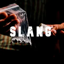 Slang - Single by Coach Peake album reviews, ratings, credits