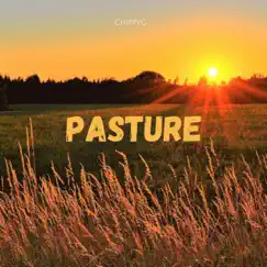 Pasture Song Lyrics