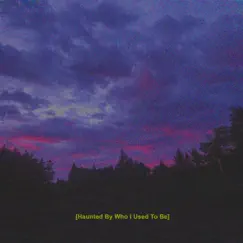 Haunted by Who I Used to Be (feat. Cailyn) - Single by 4NPlanet album reviews, ratings, credits