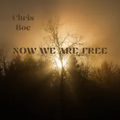 Now We Are Free Song Lyrics