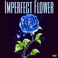 Imperfect Flower - Single by 6ixSh0tta album reviews, ratings, credits