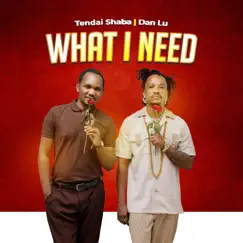 What I Need (feat. Dan Lu) - Single by Tendai Shaba album reviews, ratings, credits
