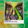 Through My Eyes - Single album lyrics, reviews, download