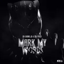 Mark My Words (feat. Big Preme) Song Lyrics