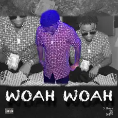 Woah Woah - Single by Big Gee album reviews, ratings, credits