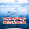 The Rise of Wellness album lyrics, reviews, download