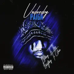 Underdog: Nothing To Lose, Everything To Gain by Paign album reviews, ratings, credits