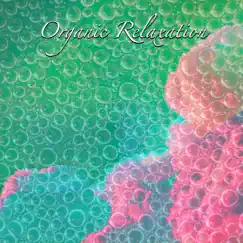 Organic Relaxation by Relaxation Sensations album reviews, ratings, credits