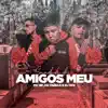 Saudade dos Amigos Meu - Single album lyrics, reviews, download