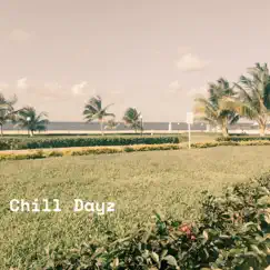 Chill Dayz - Single by Digi Jay album reviews, ratings, credits