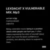 Vulnerable Mix - Single album lyrics, reviews, download