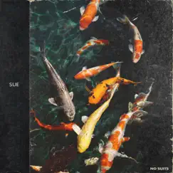 Sue - Single by No Suits album reviews, ratings, credits