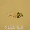 GIVE 2 U (feat. ParKlurker) - Single album lyrics, reviews, download