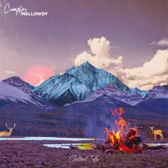 Campfire - Single by Mellowdy album reviews, ratings, credits