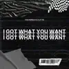 I Got What You Want (feat. Leslie Powell & Kali J) - Single album lyrics, reviews, download
