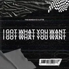 I Got What You Want (feat. Leslie Powell & Kali J) - Single by The Mondays & LiTTiE album reviews, ratings, credits