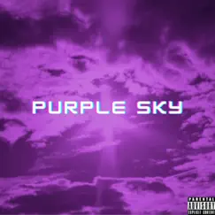 Purple Sky by Respect Tha G & SKINNYMADEIT album reviews, ratings, credits