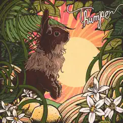 Thumper - Single by Emancipator & Cloudchord album reviews, ratings, credits