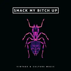 Smack my Bitch Up - Single by Vintage & Culture Music album reviews, ratings, credits
