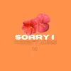 Sorry I Didn't Kiss U - Single album lyrics, reviews, download