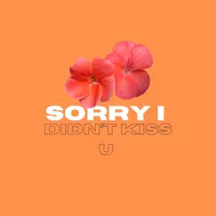 Sorry I Didn't Kiss U Song Lyrics