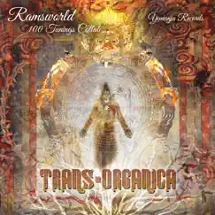 100 Tunings Collab (Trans-Organica) - Single by Charles Berthoud, Ludo Ji, Jeremy Nattagh & Ramsworld album reviews, ratings, credits