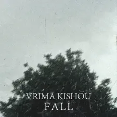 Fall - Single by VRIMA KISHOU album reviews, ratings, credits