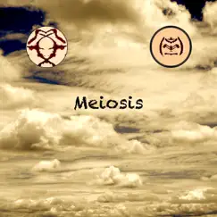 Meiosis - Single by Anzcreer album reviews, ratings, credits