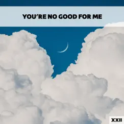 You're No Good For Me XXII by Various Artists album reviews, ratings, credits