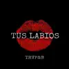 Tus Labios - Single album lyrics, reviews, download