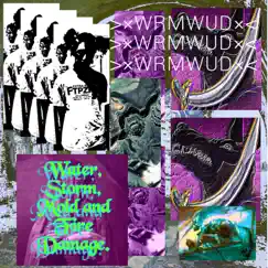 Water, Storm, Mold and Fire Damage. - Single by WrmWud album reviews, ratings, credits