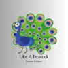 Like a Peacock - Single album lyrics, reviews, download