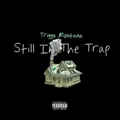 Still In the Trap by Trigga Montana album reviews, ratings, credits