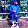 Didn't Waste It - Single album lyrics, reviews, download