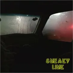 Sneaky Link (feat. Hansae) Song Lyrics